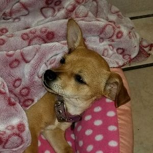 Meet your Posher, Lorena